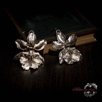 Postříbřené orchidejí