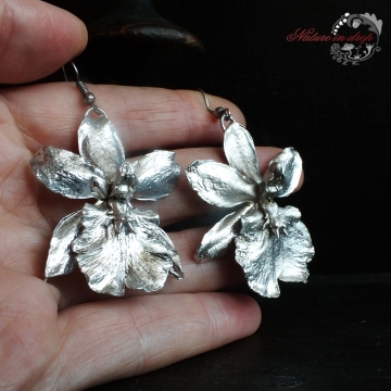 Silver-plated ORCHID FLOWER - earrings