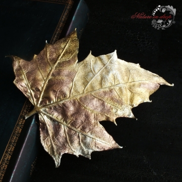 Gilded maple leaf - brooch