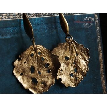 Gilded poplar leaves - errings