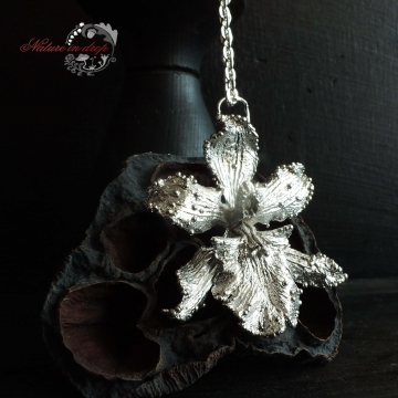 Silver-plated orchid - pendant