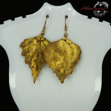 Gilded birch leaves - errings