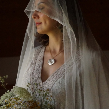 Postříbřená kopretina -...