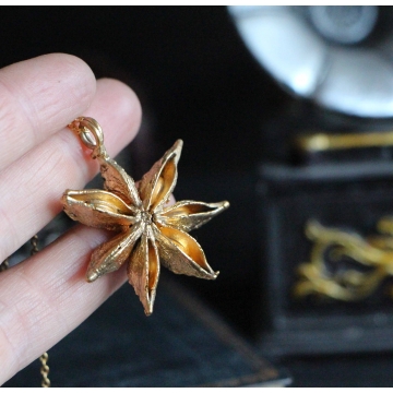 Gilded star anise