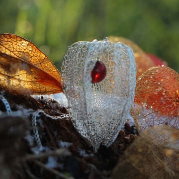 Silver-plated physalis, amber - pendant