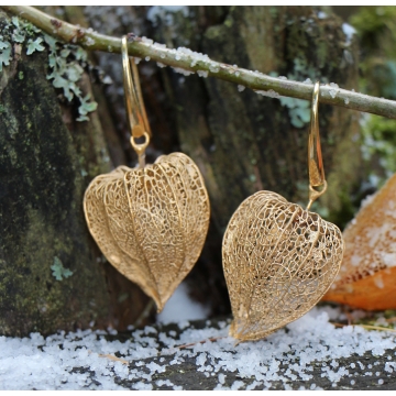 Pozlacená mochyně - náušnice