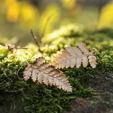 Gilded fern - earrings