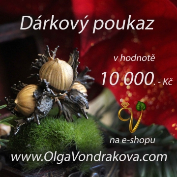 copy of Shopping voucher