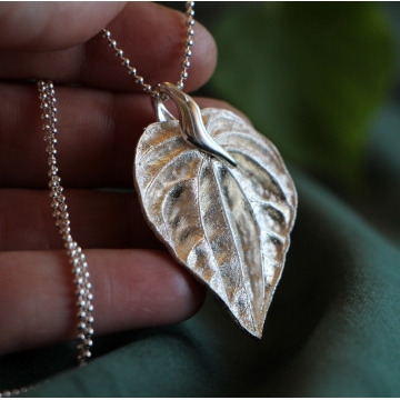 Peperomia leaf in silver - pendant