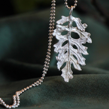 Silver-plated ragwort - pendant